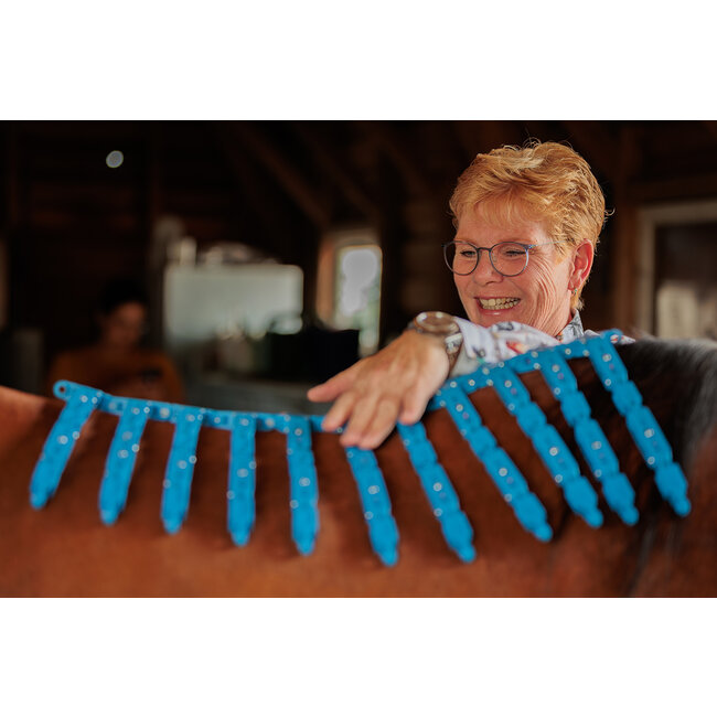 Saddle fitting consultation EQUIscan Topograph Pro