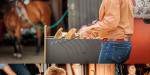 A properly fitting western saddle is crucial for the health and comfort of your horse.