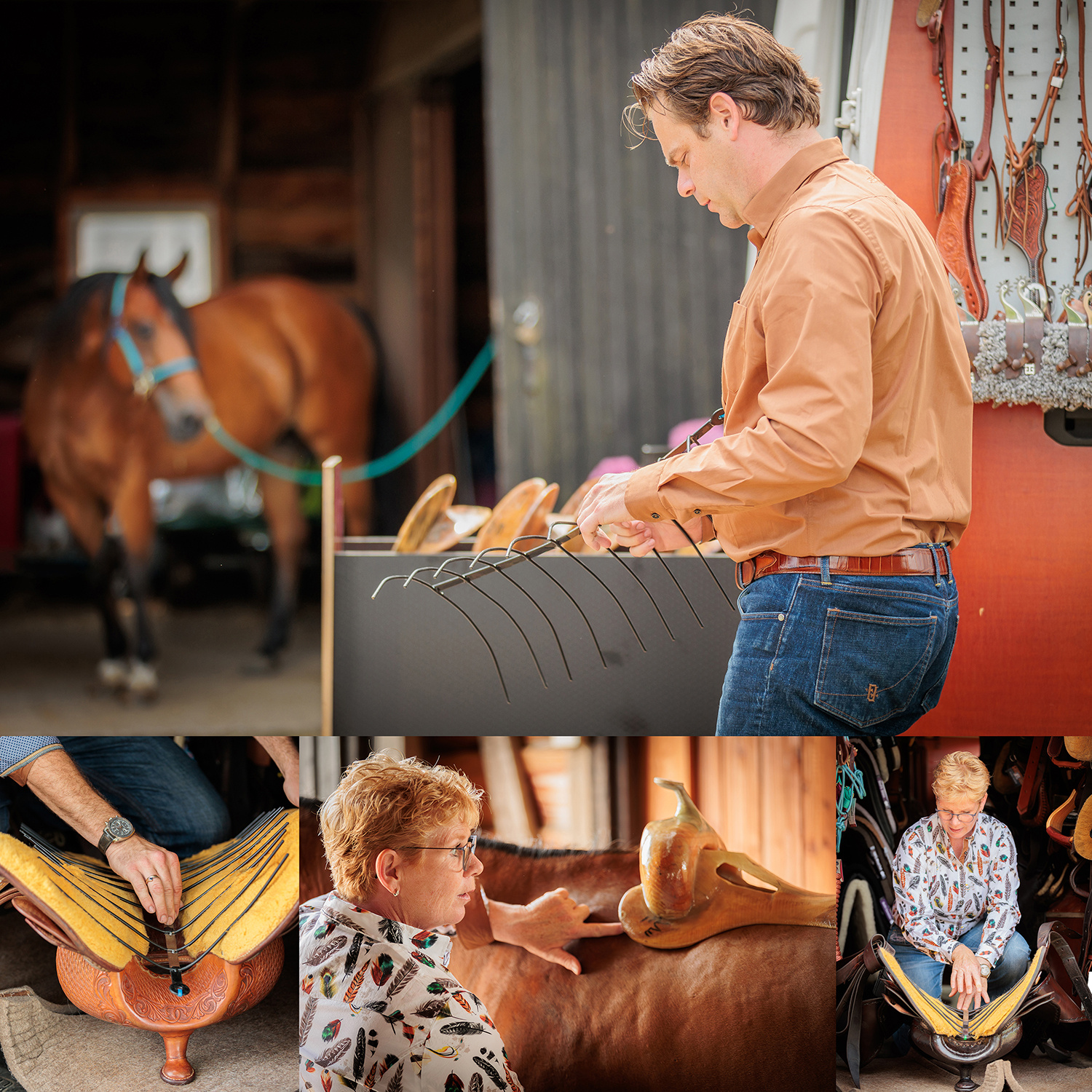 A properly fitting western saddle is crucial for the health and comfort of your horse.