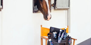 Take Care, Take Cavalor 6 top tips voor jouw grooming routine