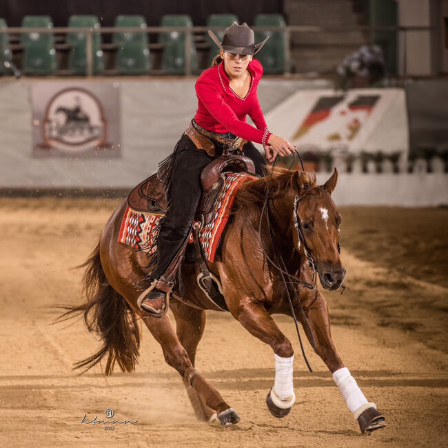 Ride 'n Shine Mix 'n Match Showshirt Basic