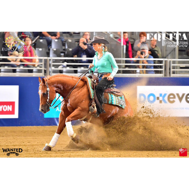 Ride 'n Shine Mix 'n Match Showshirt Basic