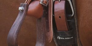 What should I know about CINCHES?