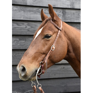 Cheaney Tack LLC Double Ear Headstall