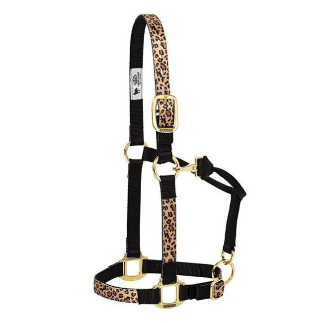 Weaver Leather Halter Patterned