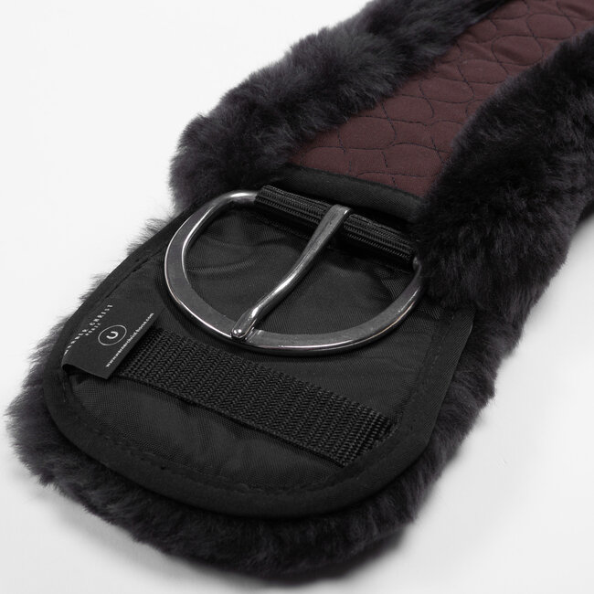 Christ Anatomical western cinch