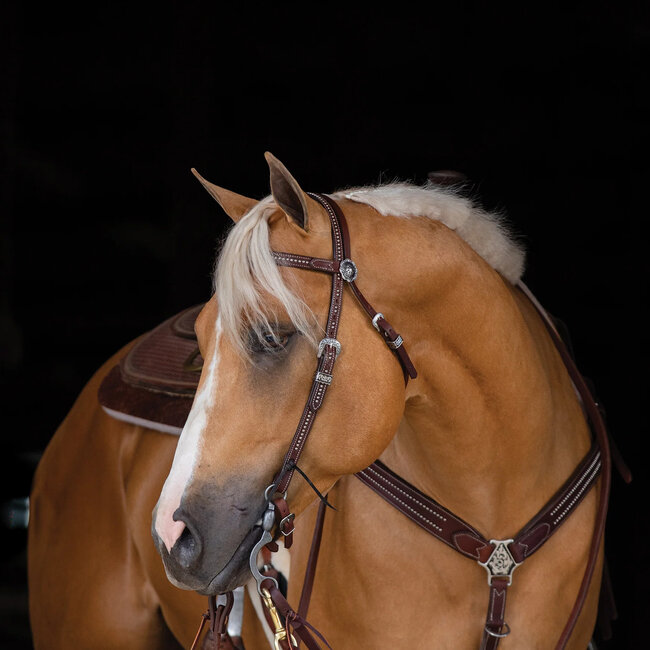 Weaver Leather Austin Browband Hoofdstel