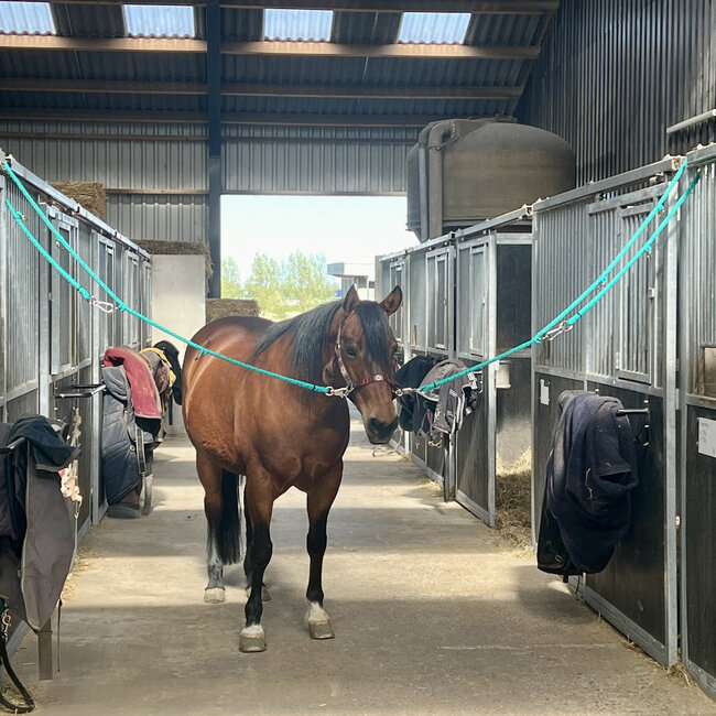 Brute Ropes Complete Set of Overhead Cross Ties