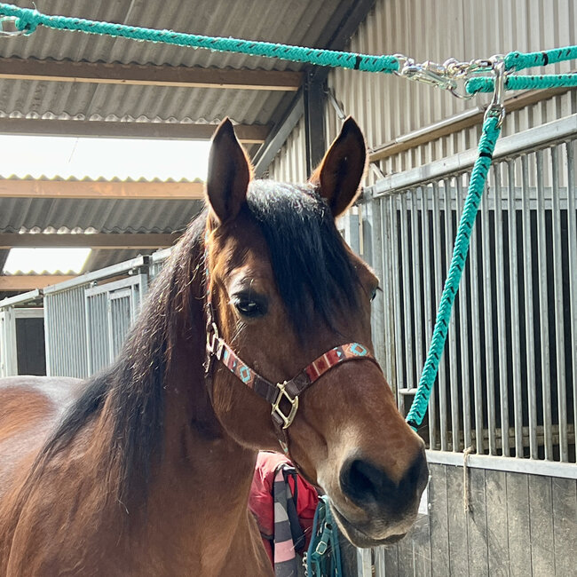 Brute Ropes Complete Set of Overhead Cross Ties
