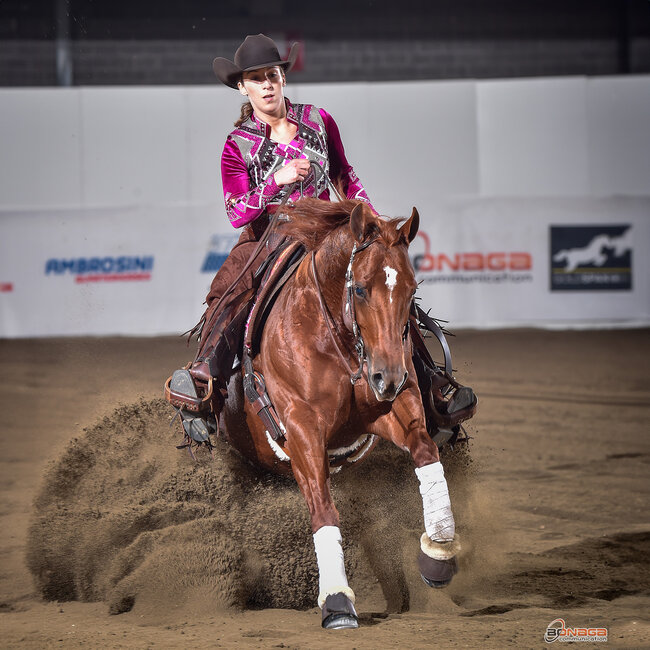Stübben Equi-Soft western cinch with Vachette leather