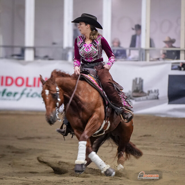 Stübben Equi-Soft western cinch with neoprene