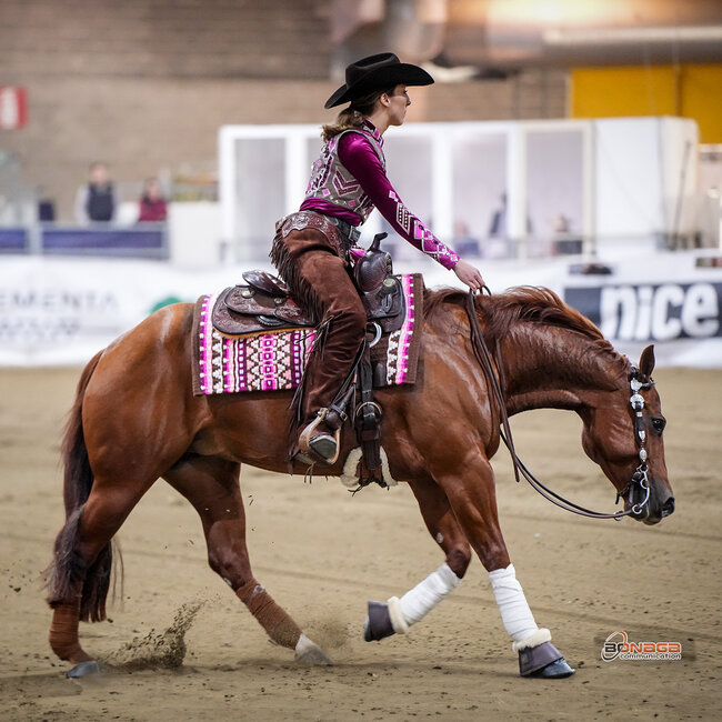 Stübben Equi-Soft cinch pad