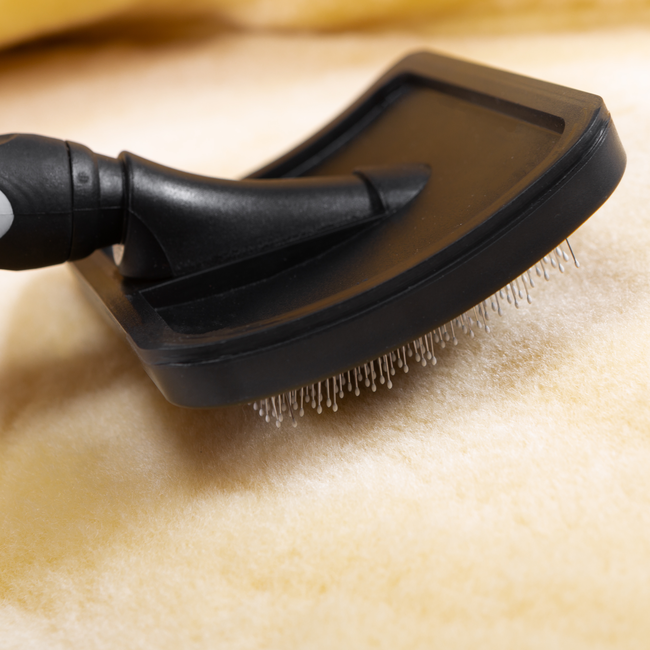 Christ Lambskin Brush