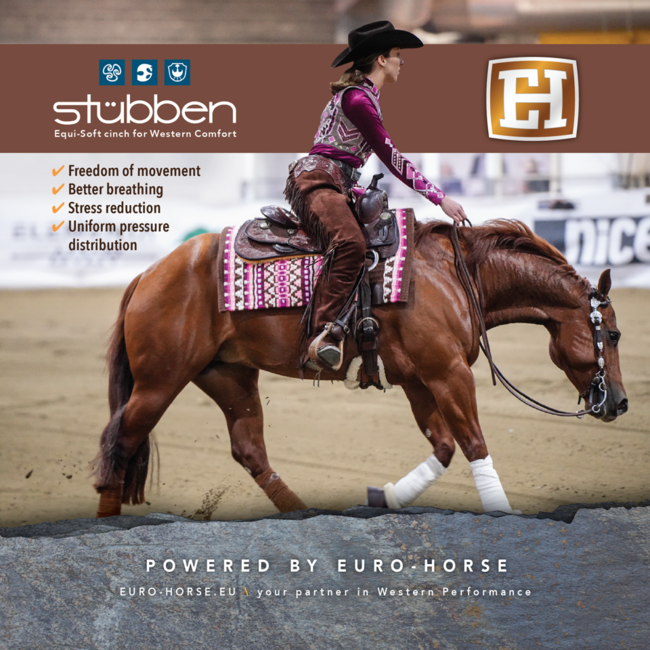Stübben Equi-Soft western cinch with Vachette leather