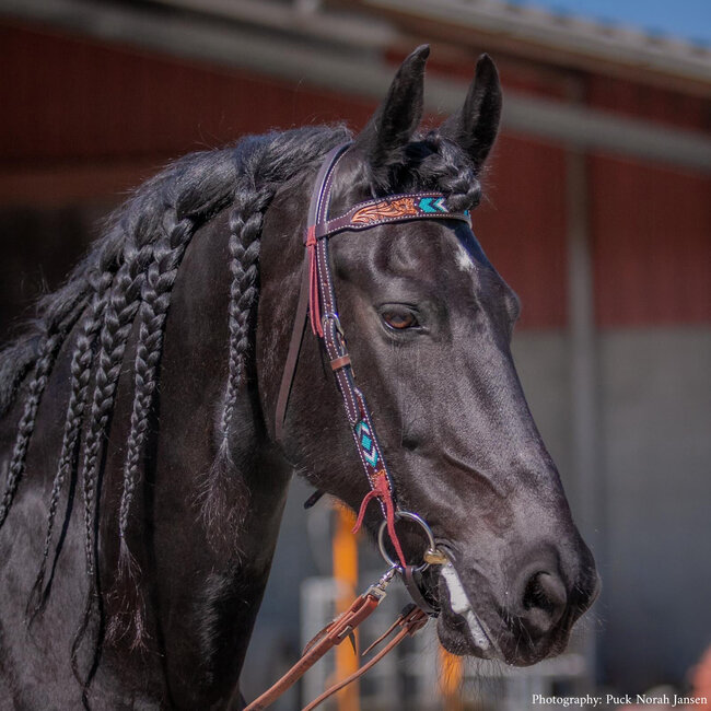 Turquoise Cross Turquoise Beaded Browband hoofdstel