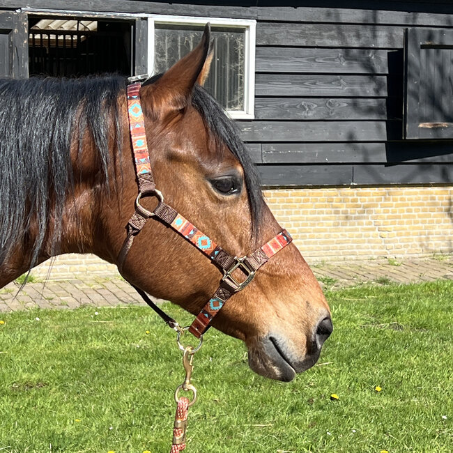 Weaver Leather Patterned  Halter