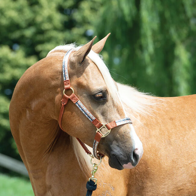 Weaver Leather Halster met pattern