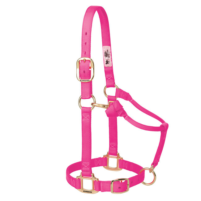 Weaver Leather Halter Weanling