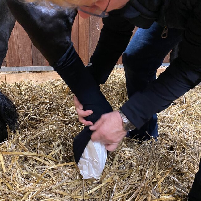 Stübben EQUI Compress Set