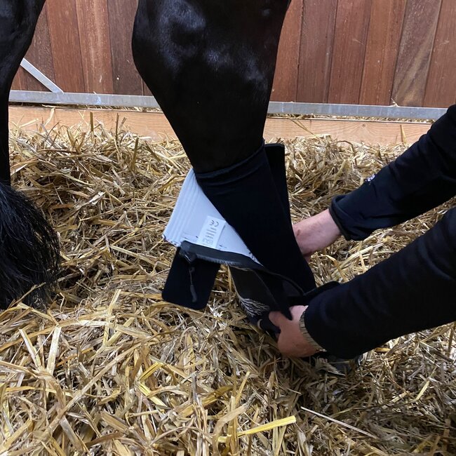 Stübben EQUI Compress Set