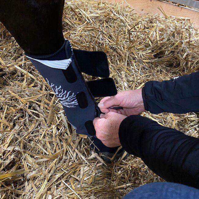 Stübben EQUI Compress Set