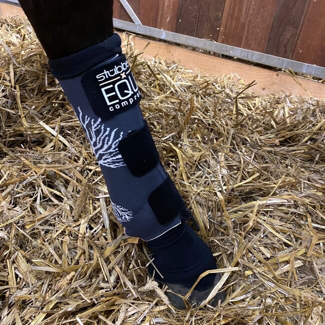 Stübben EQUI Compress Set