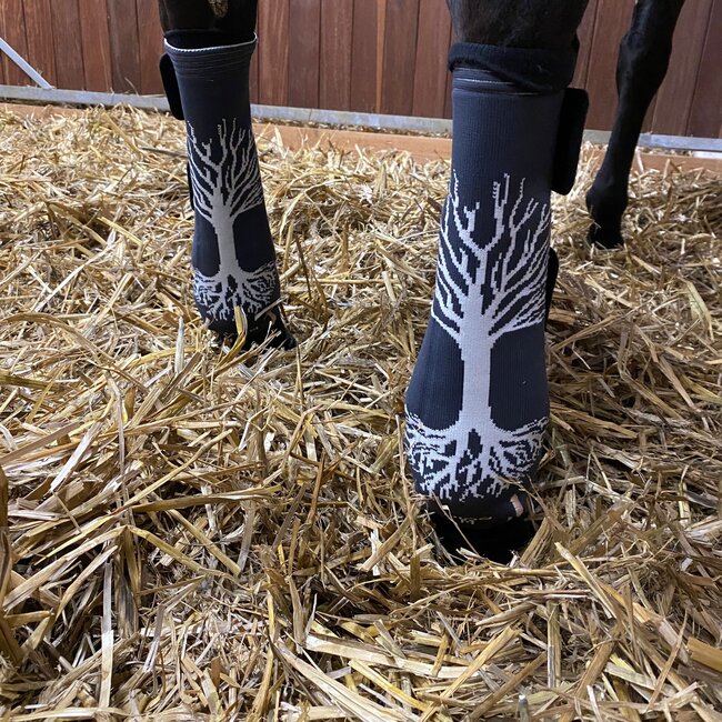 Stübben EQUI Compress Set