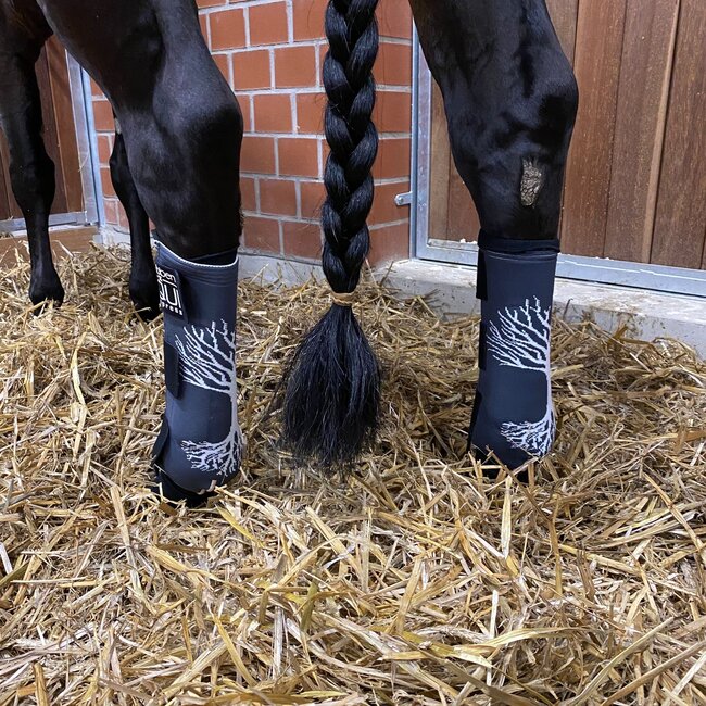 Stübben EQUI Compress Set