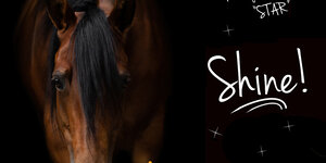 Hoe maak je je paard SHOWKLAAR?