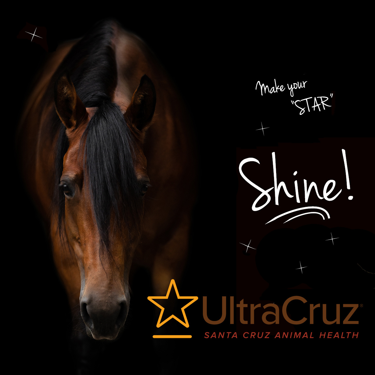 How do you get your horse to shine like a SUPERSTAR?