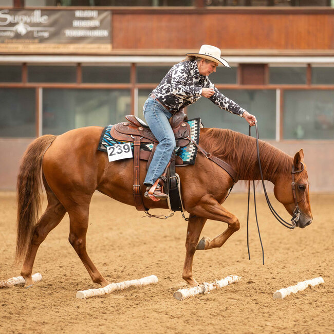 WesternStable Westerkwartier