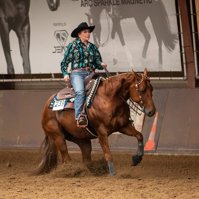 WesternStable Westerkwartier