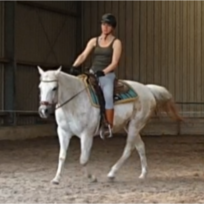 Natural Western Riding Center