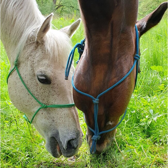 Natural Western Riding Center