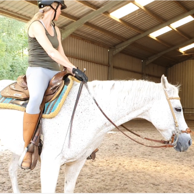 Natural Western Riding Center