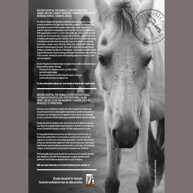 Horse and Hunk Calendar 2026