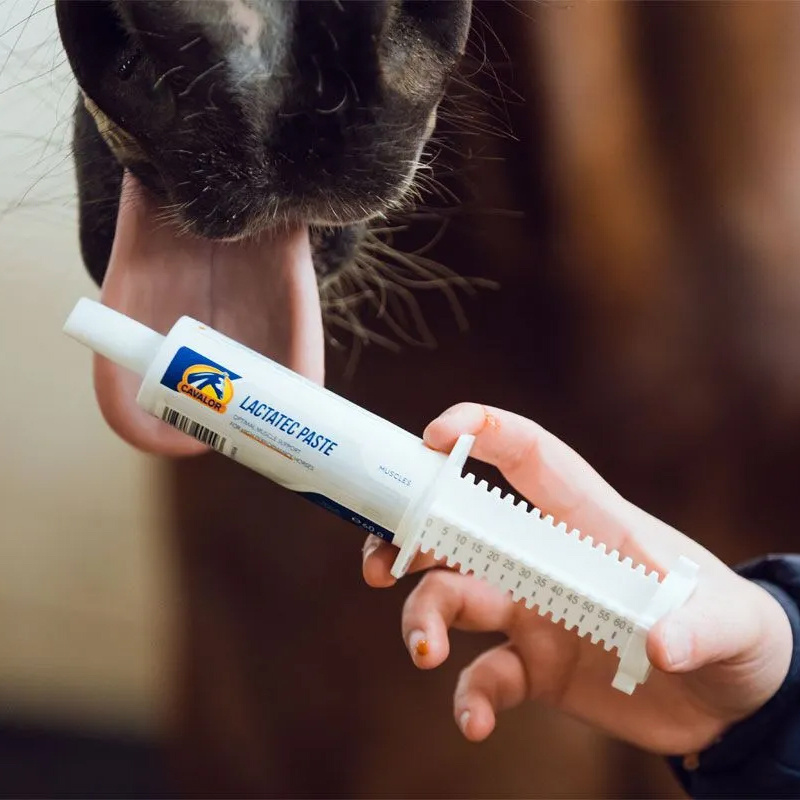 Alles over pasta's voor paarden