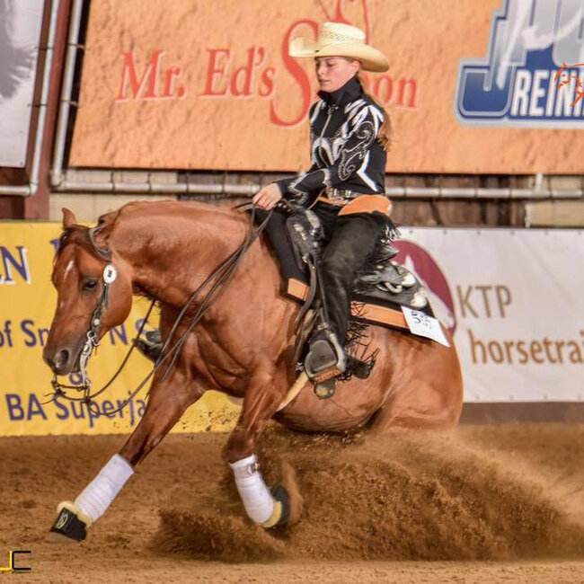 Trainingsstal Starnmeer