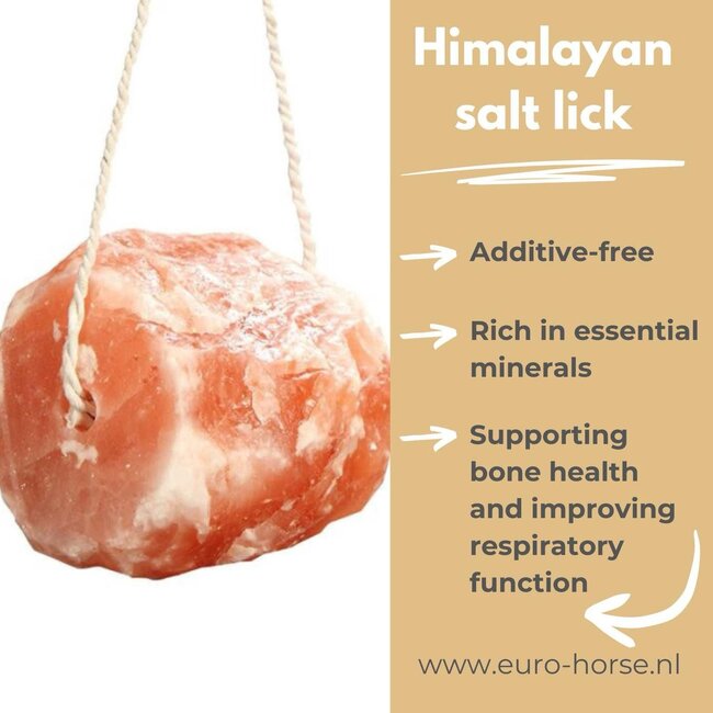 Excellent Horse Himalayan salt lick (GMP+)
