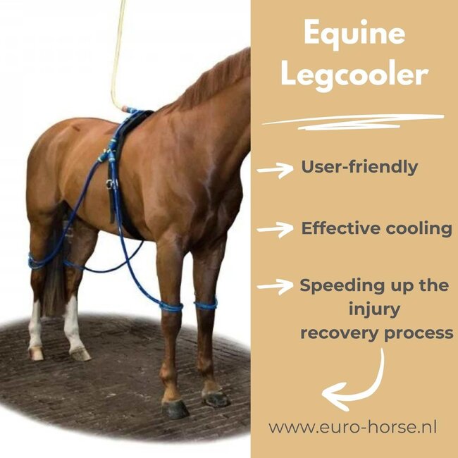 Equine Legcooler
