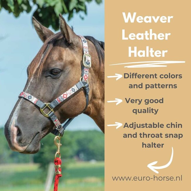 Weaver Leather Halster met pattern