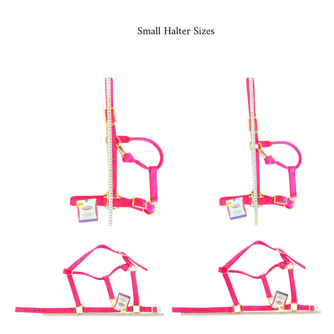 Weaver Leather Halter, Embroidery and Overlay