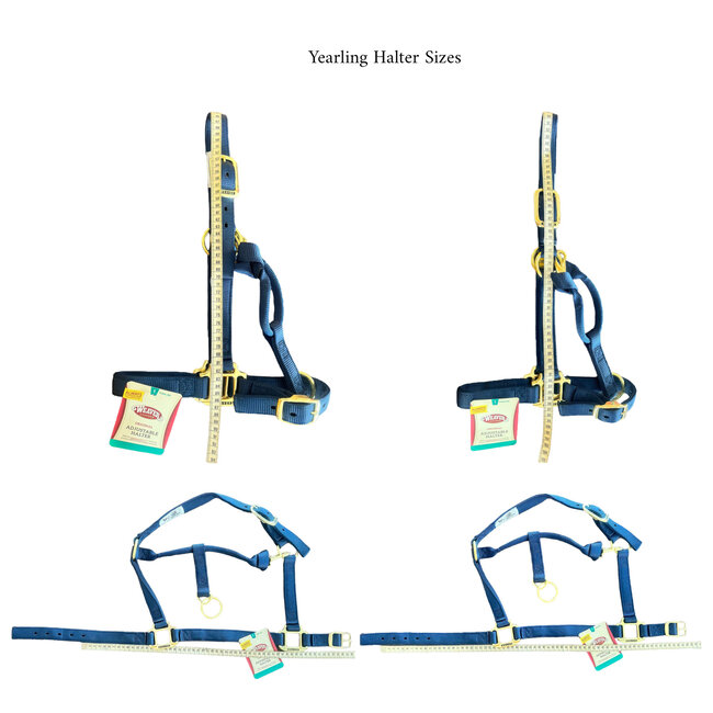 Weaver Leather Halter, Embroidery and Overlay