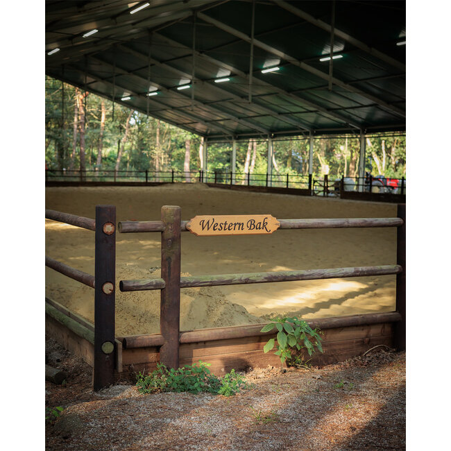 MD Performance Horses