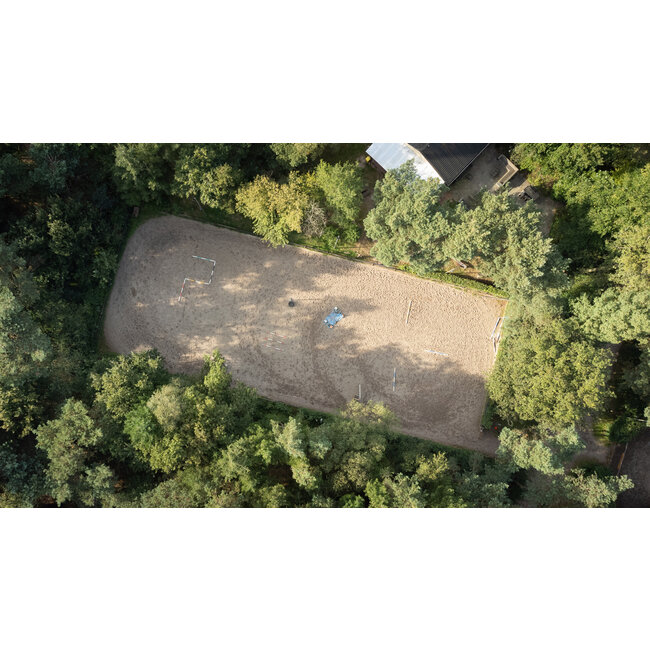 MD Performance Horses