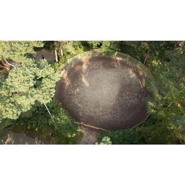 MD Performance Horses