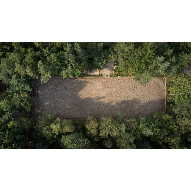 MD Performance Horses