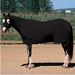 Weaver Leather Equiskinz Sheets Black Small