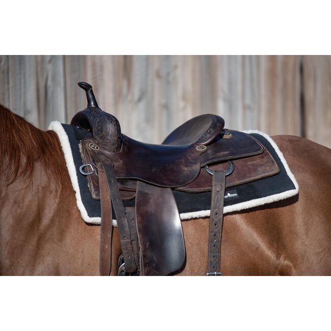 Classic Equine Performance trainer pad