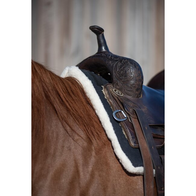 Classic Equine Performance trainer pad